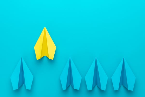 The Link: News & Looking Ahead